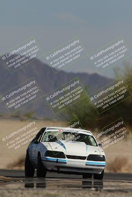 media/Oct-12-2025-Lucky Dog Racing (Sun) [[8adb5568ea]]/3-Third    Stint/4-Turn 4 (Tree of Life)/